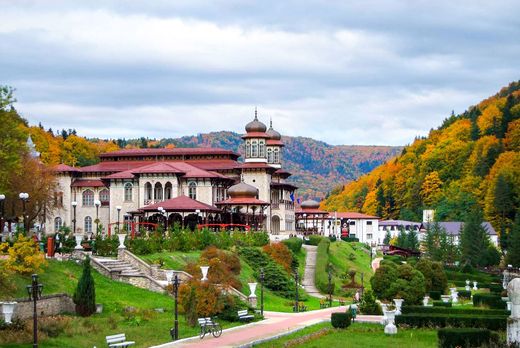 Lüks ev Bacău, Municipiul Bacãu