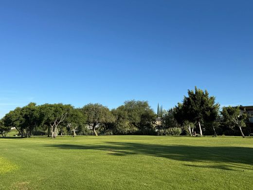 Santiago de Querétaro, Querétaroの土地