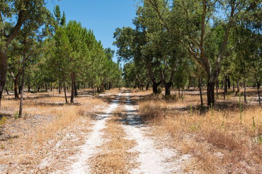 Casa de campo - Montijo, Setúbal