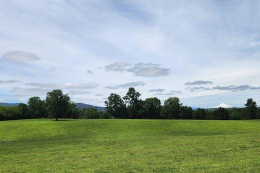 Gospodarstwo w Cunco, Provincia de Cautín