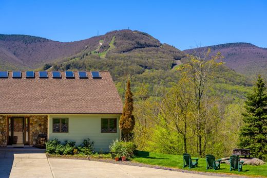 Vrijstaand huis in Hunter, Greene County