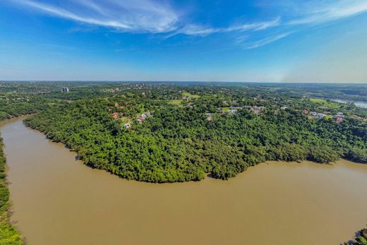 Arsa Hernandarias, Departamento del Alto Paraná