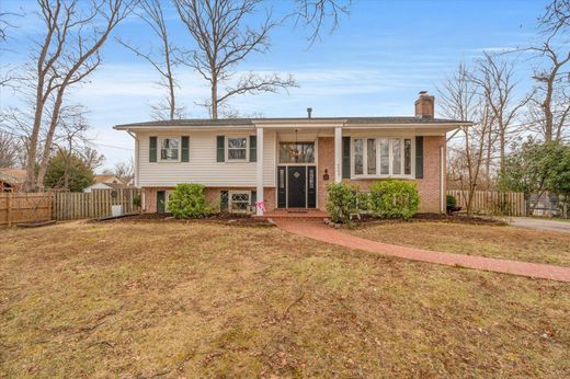 호화 저택 / Alexandria, City of Alexandria