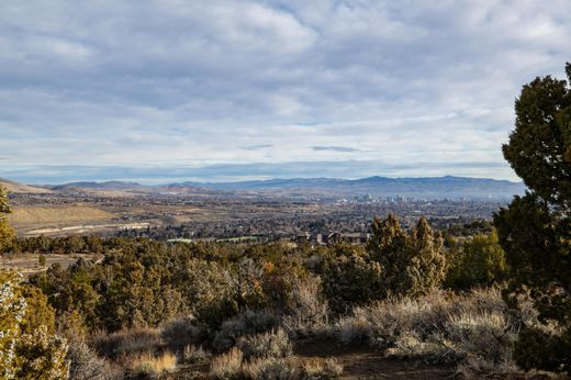 Reno, Washoe Countyの土地