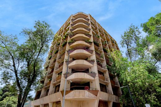Apartment in Mexico City, The Federal District