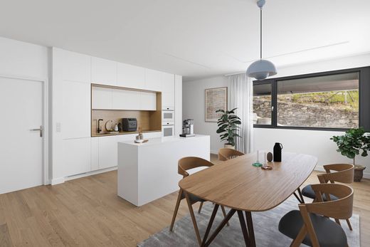 Duplex w Sion, Sion District