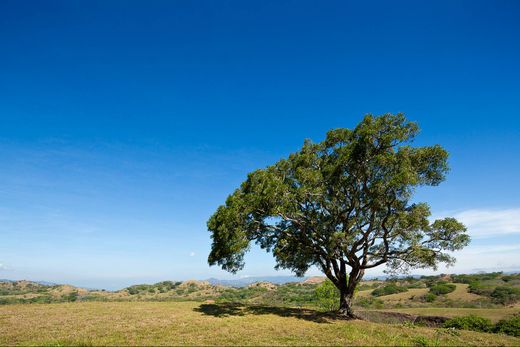 Terreno a Alajuela, Cantón de Alajuela