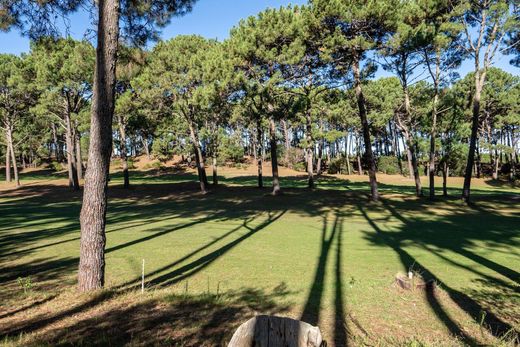 Terreno en Punta Ballena, Maldonado