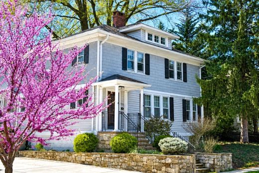 Casa de lujo en Arlington, Arlington County