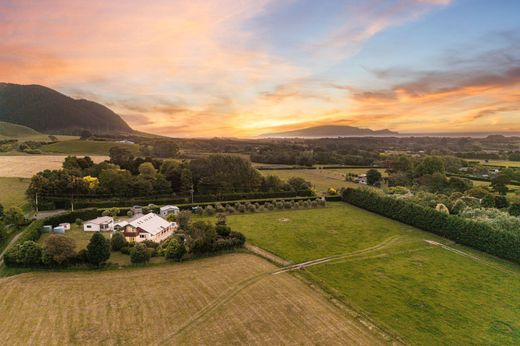 أرض ﻓﻲ ويلينغتون, Wellington City