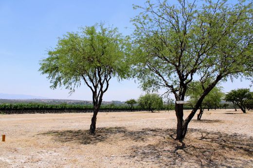 Terreno a San Miguel de Allende, Guanajuato