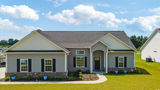 独立式房屋  Loris, Horry County