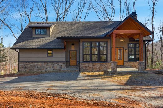 단독 저택 / Tiger, Rabun County