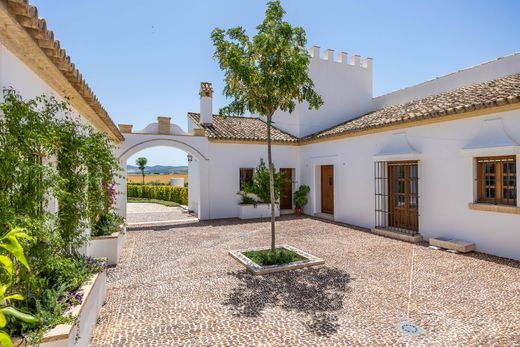 Detached House in Seville, Province of Seville