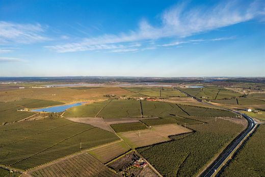 Grundstück in Ferreira do Alentejo, Distrito de Beja