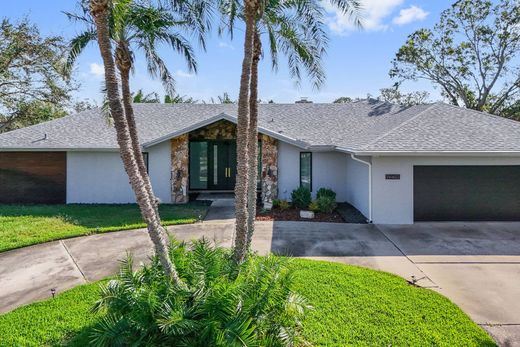 Luxury home in Saint Petersburg, Pinellas County