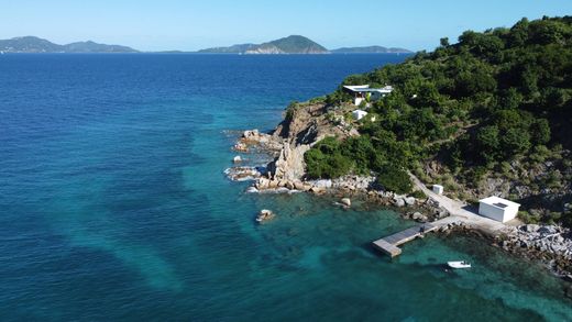 ﻓﻴﻼ ﻓﻲ Ginger Island