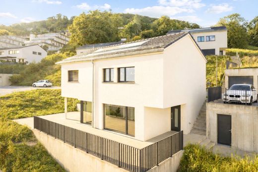 Einfamilienhaus in Jongny, Riviera-Pays-d'Enhaut District