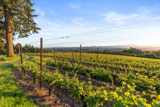 Luxury home for sale in Yamhill