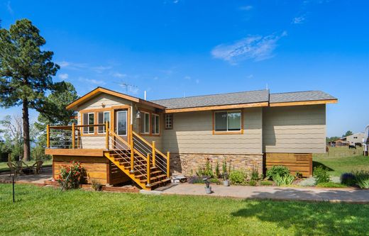 Luxury home in Mancos, Montezuma County