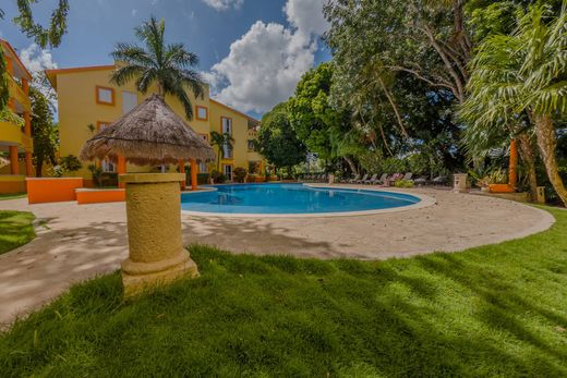 ‏דירה ב  פלאיה דל כרמן
, Solidaridad