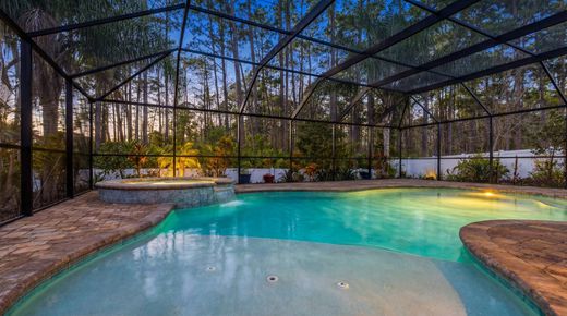 Dom jednorodzinny w Saint Augustine, Saint Johns County