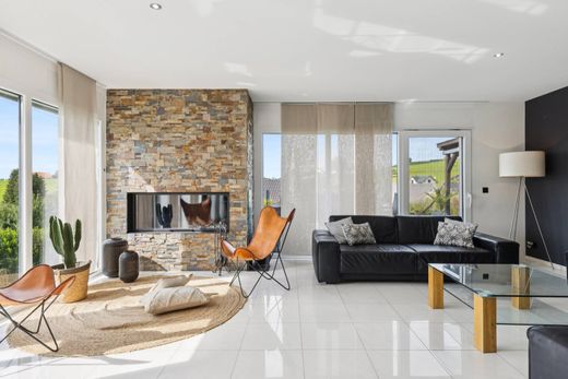 Detached House in Pont-la-Ville, Gruyère District