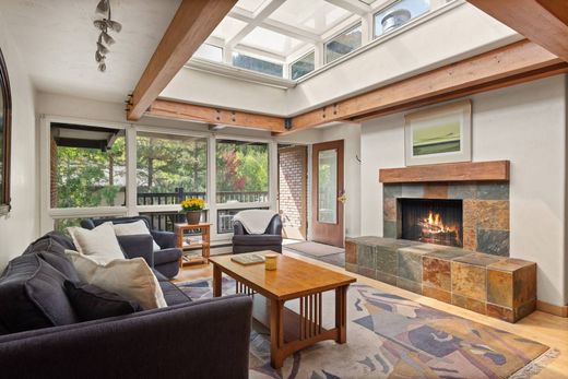 ﺷﻘﺔ ﻓﻲ Aspen, Pitkin County