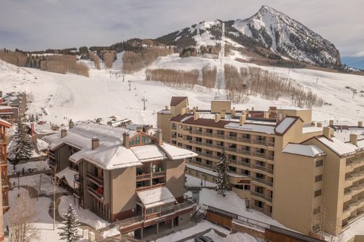 Mount Crested Butte, Gunnison Countyのアパートメント