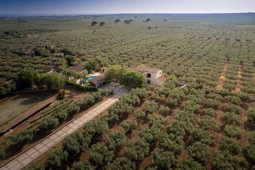 别墅  Castelvetrano, 特拉帕尼省