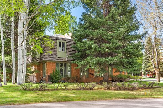 Maison de luxe à Aspen, Comté de Pitkin