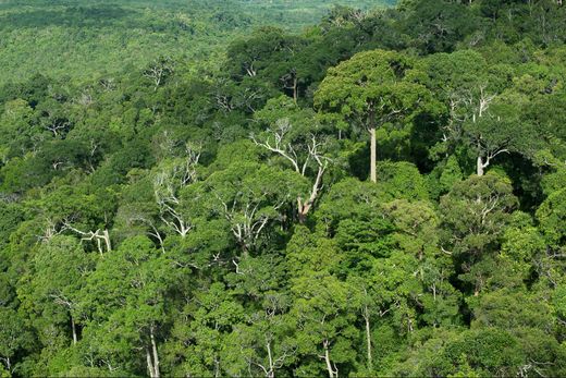 Land in Limón, Cantón de Limón