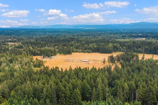 地皮  Roy, Pierce County