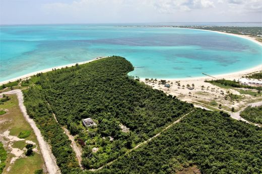 地皮  Treasure Cay