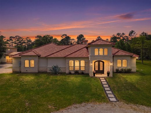 Gospodarstwo w Conroe, Montgomery County