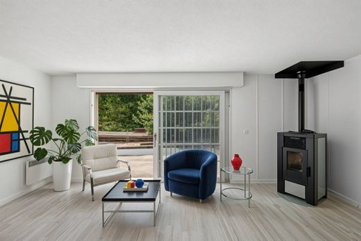 단독 저택 / Saillon, Martigny District