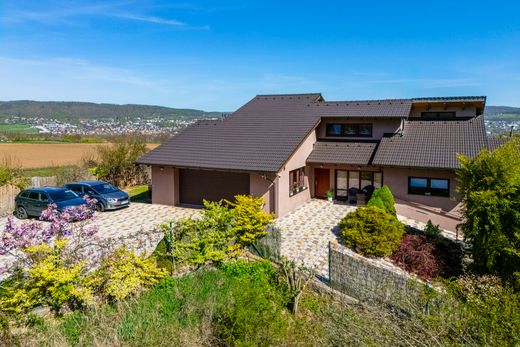 Detached House in Beroun, Okres Beroun