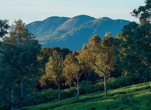 Terreno en Coonoor, Nilgiris