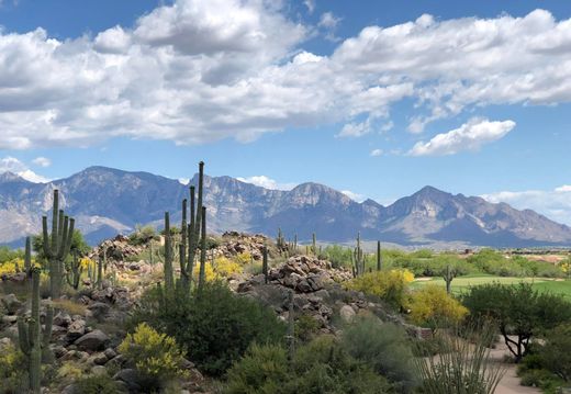 Arsa Oro Valley, Pima County