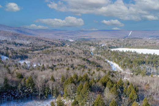Arsa Winhall, Vermont
