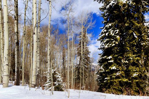 Terreno a Durango, La Plata County