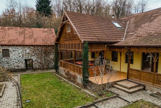 Μονοκατοικία σε Săvârşin, Comuna Săvârşin