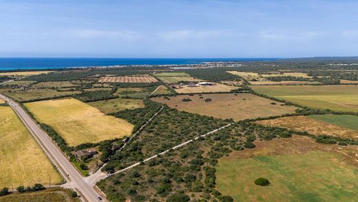 Участок, Campos, Illes Balears