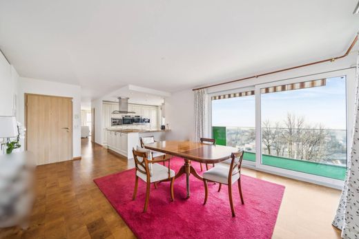 Apartment / Etagenwohnung in Montreux, Riviera-Pays-d'Enhaut District