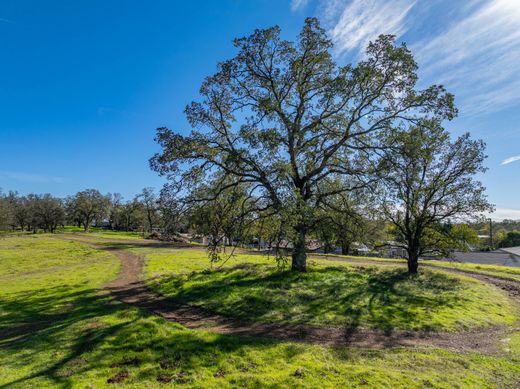 Arsa Redding, Shasta County