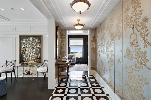 豪宅  芝加哥, Cook County