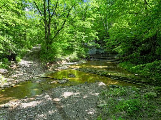 Richmond, Madison Countyの土地
