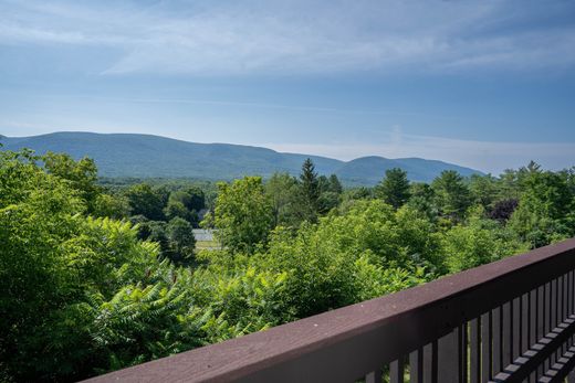 Appartement in Manchester, Bennington County