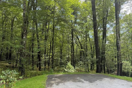 Αγροτεμάχιο σε Cashiers, Jackson County