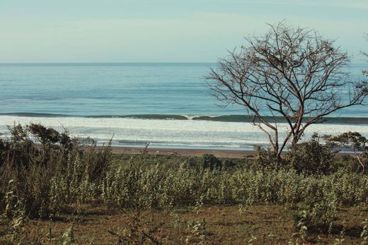 Terreno - Ostional, Provincia de Guanacaste